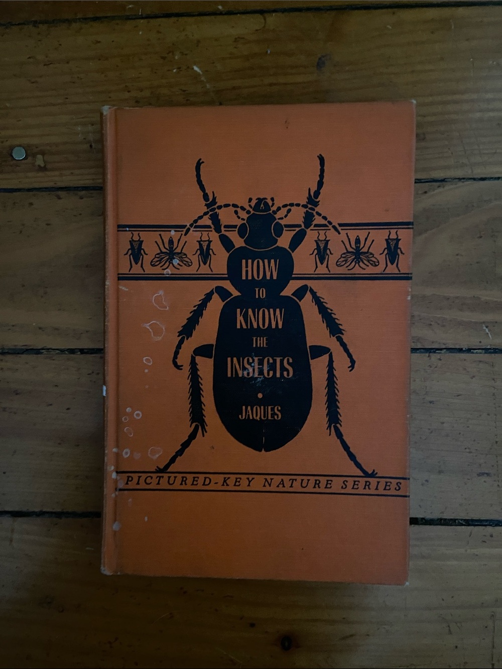 Vintage 1st ed 40s 1940s Insects Insect bug book butterfly butterflies NATURE